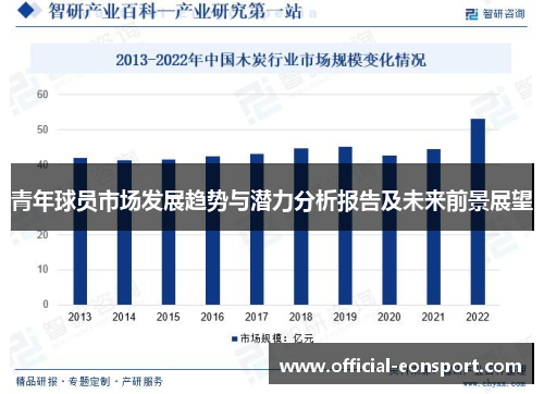 青年球员市场发展趋势与潜力分析报告及未来前景展望