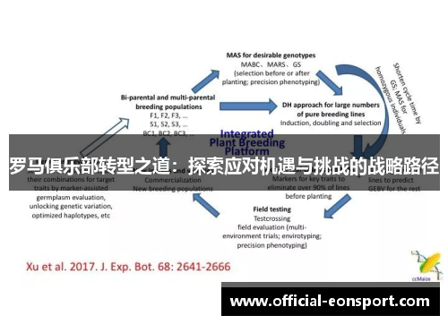 罗马俱乐部转型之道：探索应对机遇与挑战的战略路径