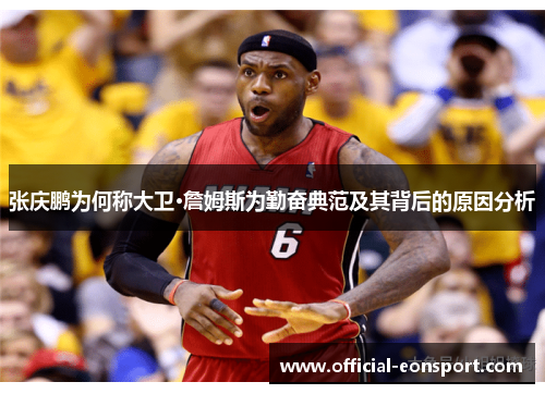 张庆鹏为何称大卫·詹姆斯为勤奋典范及其背后的原因分析