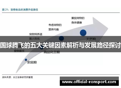 国球腾飞的五大关键因素解析与发展路径探讨